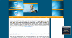Desktop Screenshot of cashgroupsolutions.com